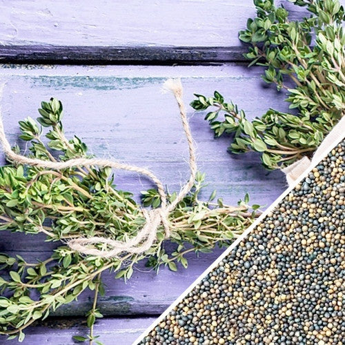 Close-up of thyme seeds and fresh thyme herb on a rustic wooden surface