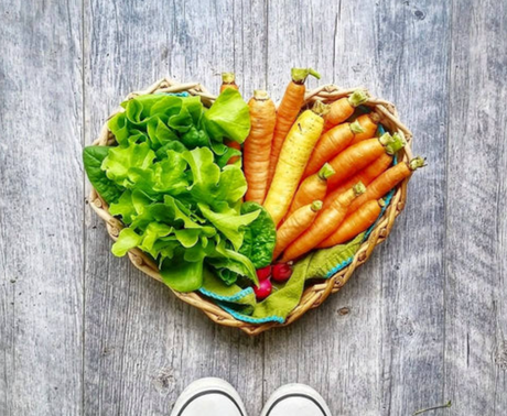 Meet @TXMBIRDIE! Organic Farmer in East Texas