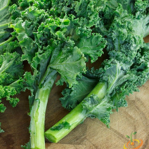 *FREE* Kale Seed Kit
