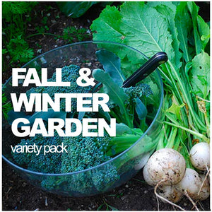All-in-One Fall and Winter Seed Variety Pack by SeedsNow-SeedBanks, showcasing a diverse selection of seed packets for seasonal planting.
