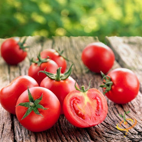 Ace 55 Tomato seeds producing medium red determinate tomatoes on rustic wooden surface