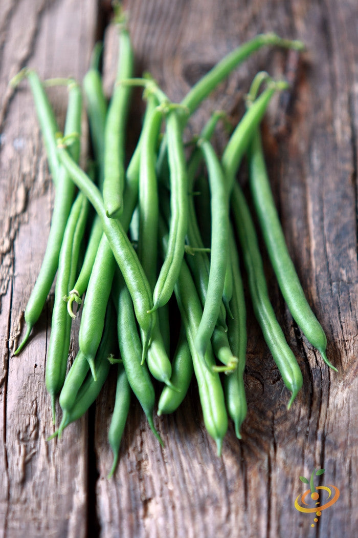 Bean (Pole) - Kentucky Wonder, Brown.