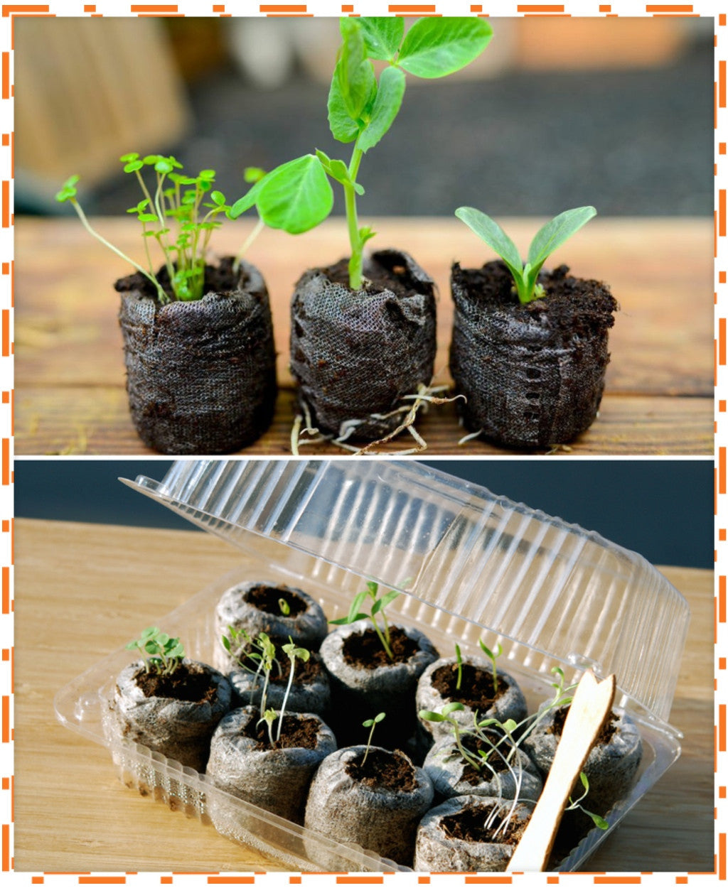 Mini Seed Starting Pods - SeedsNow.com